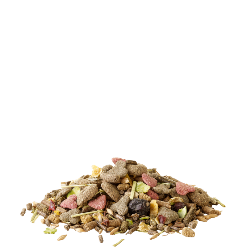 Versele Laga Crıspy Mueslı Guınea Pıg 850GR Yem-3