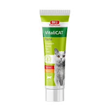 Vi̇tali̇cat Paste (Yetişkin Kedi̇ler İçi̇n Vi̇tami̇n Paste) 25 Ml-1