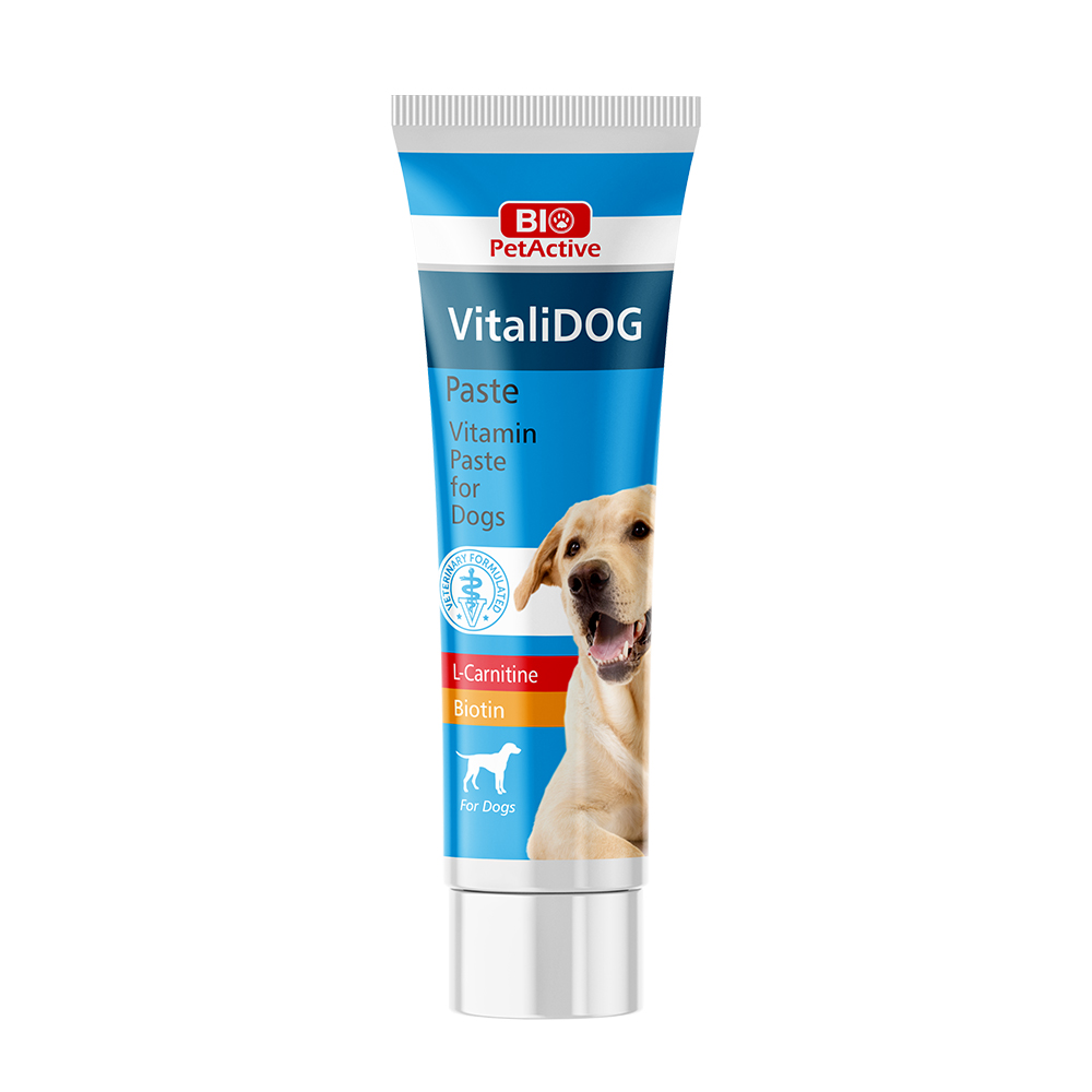 Vitalidog Paste (Yeti̇şki̇n Köpekler İçi̇n Vi̇tami̇n Paste) 25 Ml-1