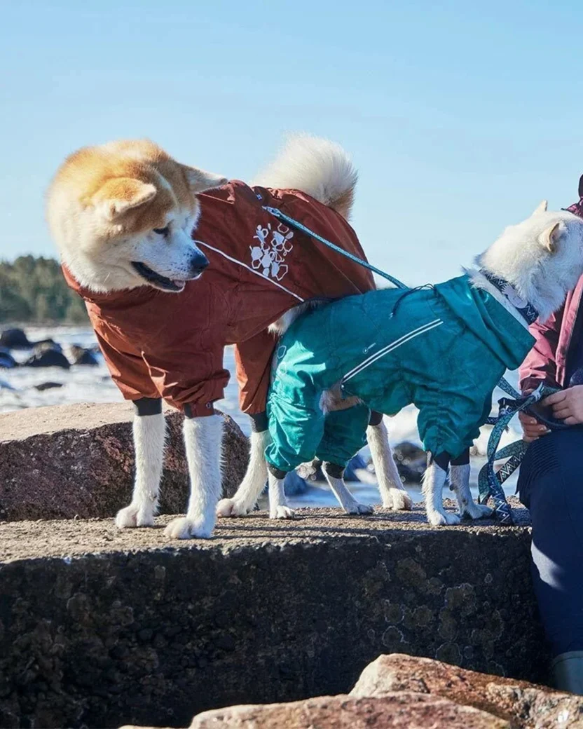 Yarım Fermuarlı Bantlı Dikişli Su Geçirmez Reflektörlü Köpek Yağmur Tulumu Turkuaz Renk -2