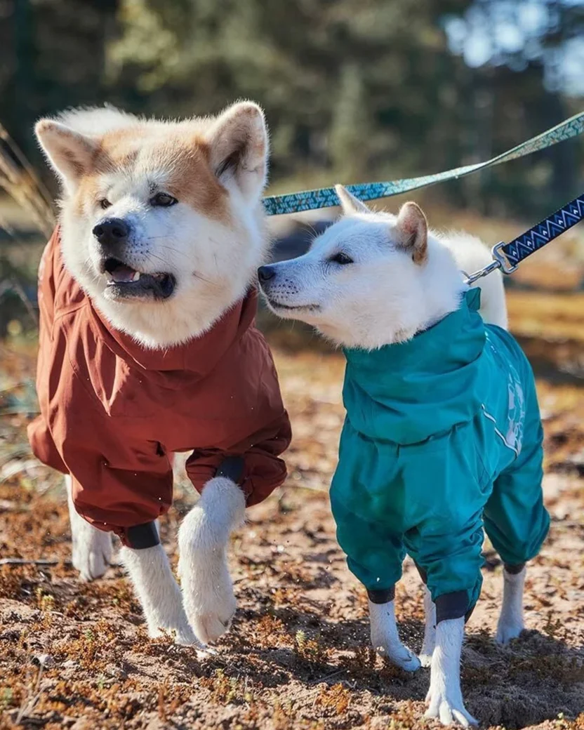 Yarım Fermuarlı Bantlı Dikişli Su Geçirmez Reflektörlü Köpek Yağmur Tulumu Siyah Renk -3