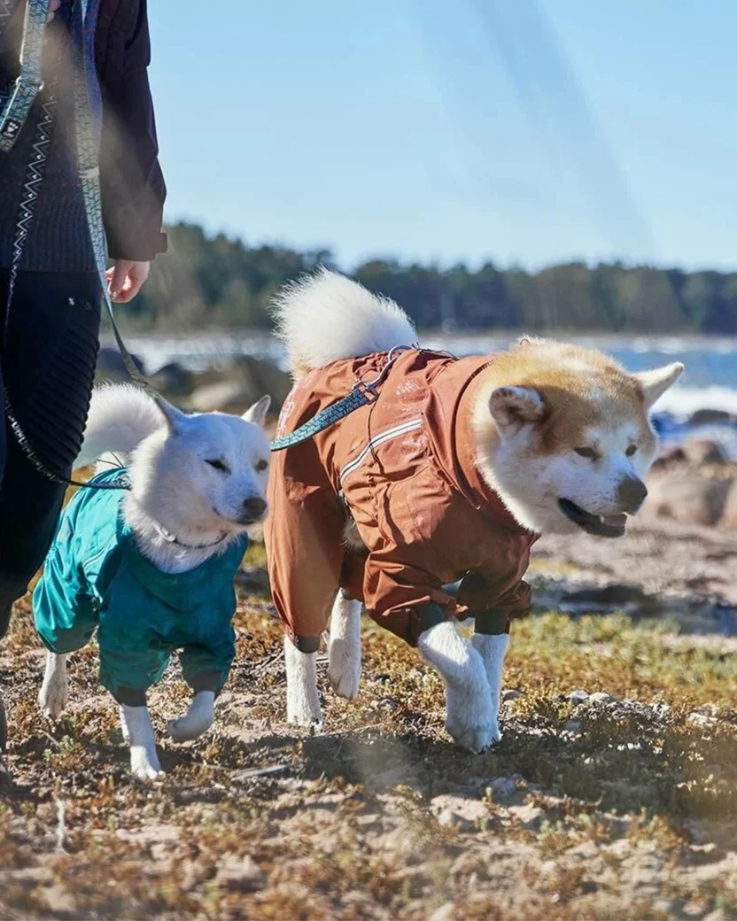 Yarım Fermuarlı Bantlı Dikişli Su Geçirmez Reflektörlü Köpek Yağmur Tulumu Siyah Renk -4