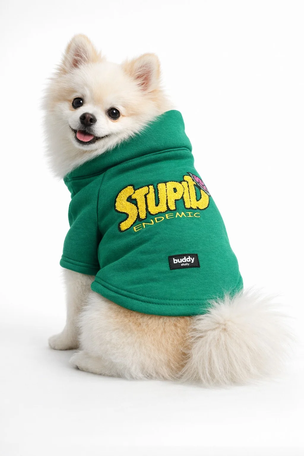 Yeşil Hakim Yaka Comfort Fit Köpek Sweat Ceketi (WarmFlex Koleksiyonu) XS Beden -1