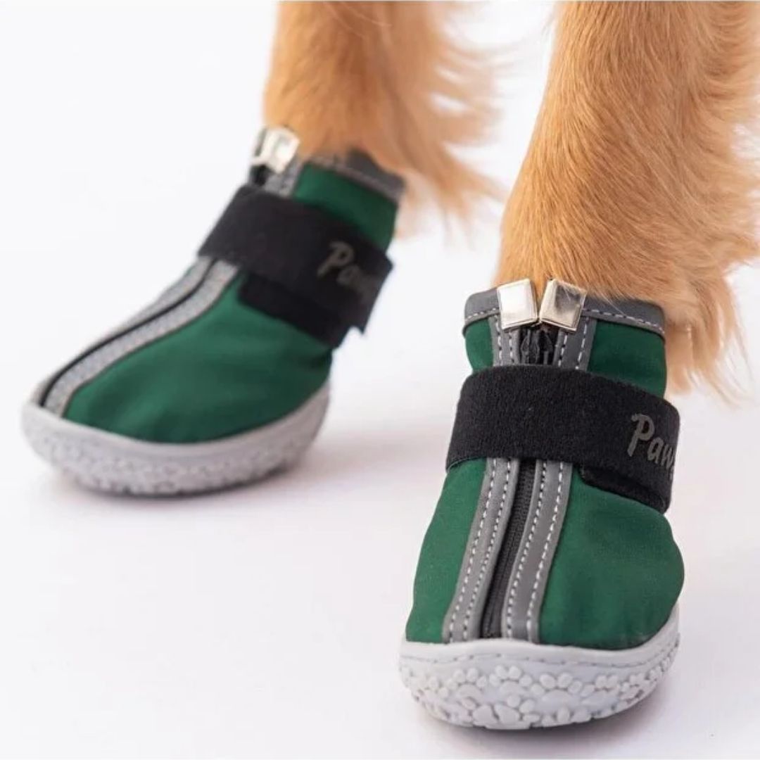 Yeşil Köpek Ayakkabısı PDS11 NO:4-3