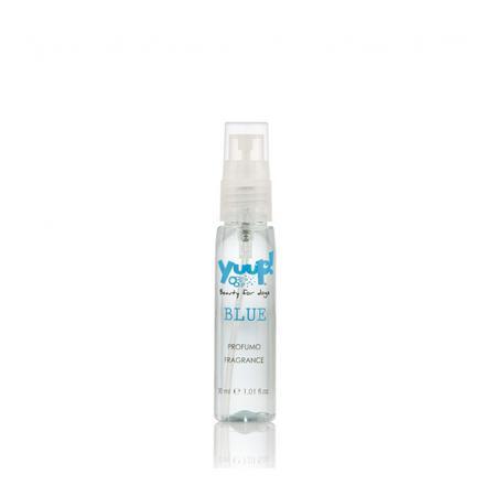 KEDİ KÖPEKLER İÇİN OKYANUS KOKULU  ALKOLSÜZ PARFÜM 30 ML asp-blue30