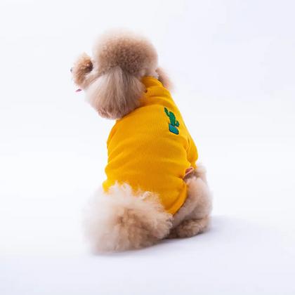 Sarı Cactus Kaşkorse Sweat L KPAW-25708