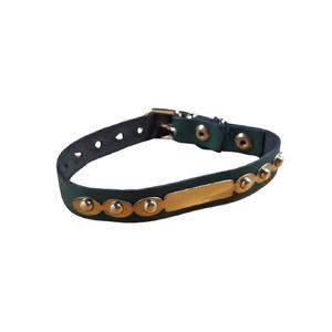 1.5 cm Yavru ve Küçük Irklar İçin İsimlikli Boyun Tasması