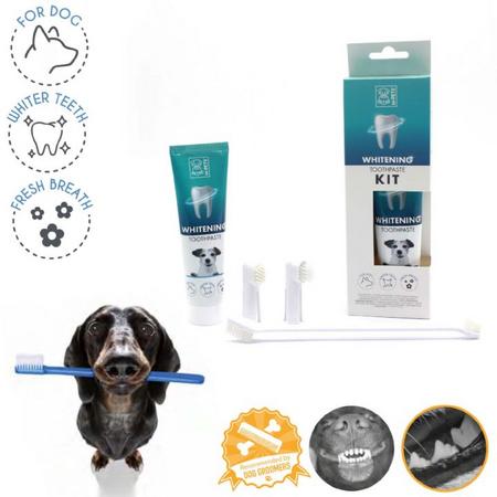 brsp 10122899 M-PETS KÖPEKLER İÇİN BEYAZLATICI DİŞ MACUNU KİTİ