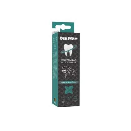 Dental Care Pro Yeşil Çay ve Nane Aromalı Diş Macunu 100 GR 