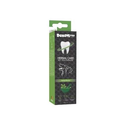 Dental Care Pro Bitkisel Aromalı Diş Macunu 100 GR 