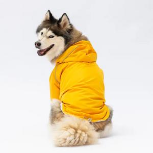 22554 Sarı Pluvia Büyük Yağmurluk 3XL