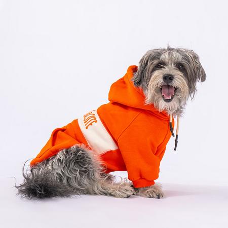 23708 Turuncu Cute Hoodie xxl 