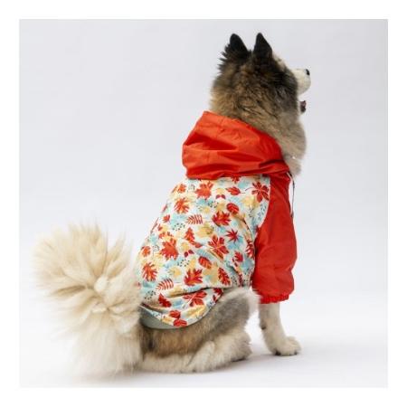 24564 Ottawa Yağmurluk 4XL beden paw