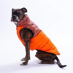 25151 Turuncu Elgin Paws Büyük Irk Yelek 5XL Beden