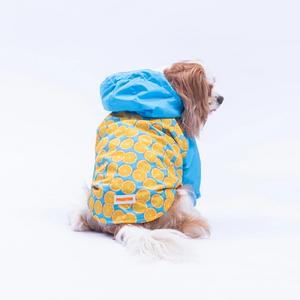 25510 Nice Citrus Yağmurluk M