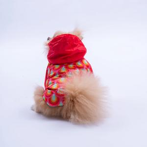 25513 Lisbon Sunset Yağmurluk M