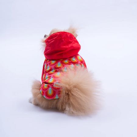 25513 Lisbon Sunset Yağmurluk XL