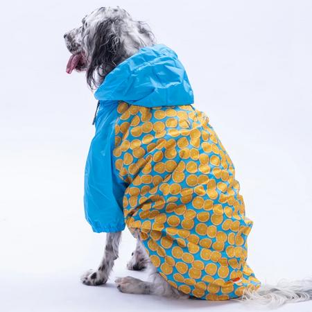 25552 Nice Citrus Büyük Irk Yağmurluk 7XL