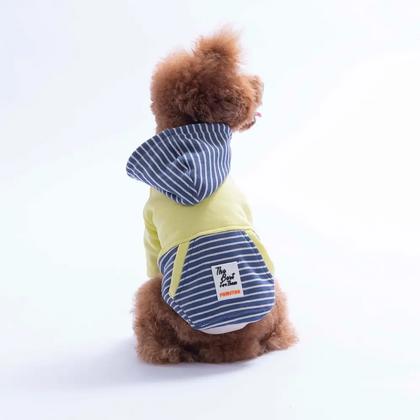 26722 Yeşil Sera Stripe Hoodie L Beden KPAW