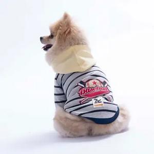 26733 Sarı Seattle Pitch Hoodie L Beden KPAW