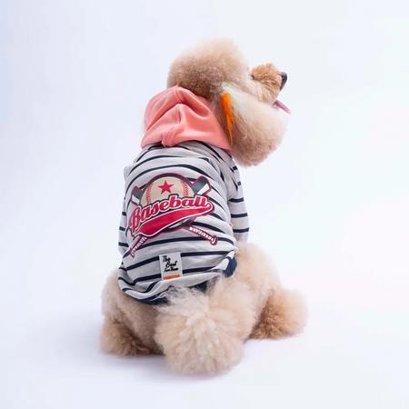 26734 Pembe Seattle Pitch Hoodie L Beden KPAW