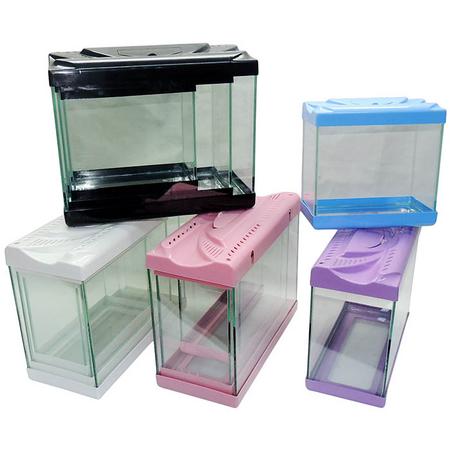3'LÜ SET RENKLİ AKVARYUM akn
