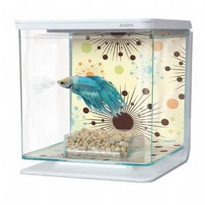 700-13353 Beta başlangıç seti havai fişek kyp