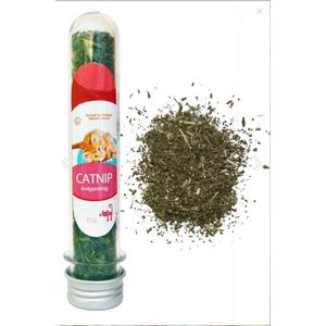 Cmi- KEDİ NANESİ 35GR tüp ict