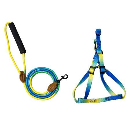 Ally Paws Harness & Leash Rope (XS) 6mmx120cm BRSP-10708