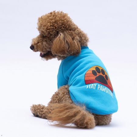 apaw-24735 Turkuaz Carmel Sweat 2xl
