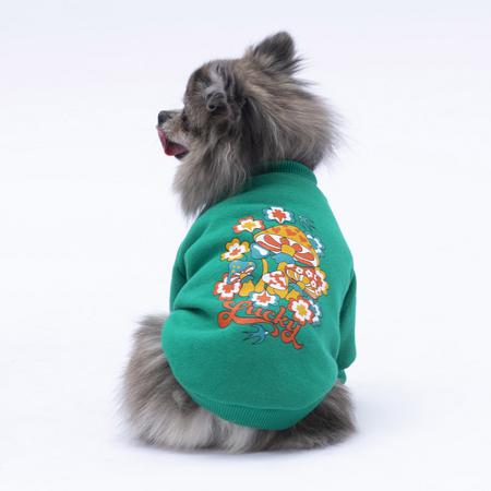 apaw-24737 Yeşil Chongqing Sweat xxl