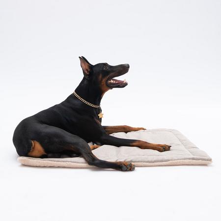 apaw-pwstr-size 1 Pet Mat&Battaniye(Blanket) küçük ( farklı renklerde gönderilecektir) 50*70cm