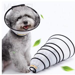 avc-Elizabet yakalık no:2+ (L) ict