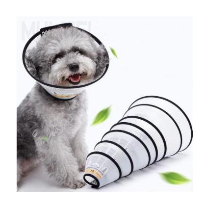 avc-68 Elizabet yakalık no:6 (XXS) ict