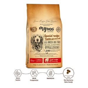 Az Tahıllı Kuzu Etli Büyük Irklar İçin Köpek Maması 12kg