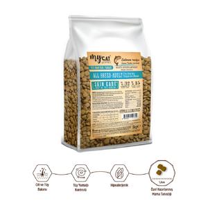 Az Tahıllı Skin Care Somon Balıklı Yetişkin Kedi Maması 1kg