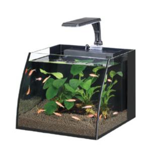 Belly Box 25 Led Aydınlatmalı Nano Akvaryum 11 Litre Siyah Renk