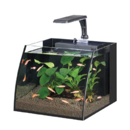 Belly Box 25 Led Aydınlatmalı Nano Akvaryum 11 Litre Siyah Renk