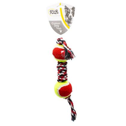 brsp-10664 ALLY PAWS KÖPEKLER İÇİN DİŞ İPİ 35CM