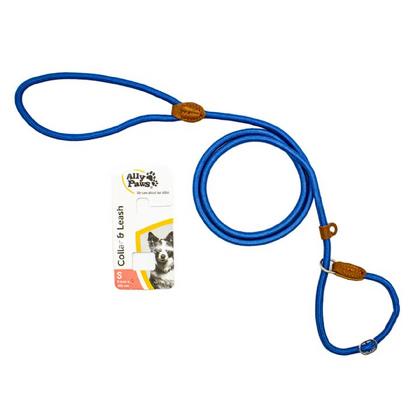 brsp 10720 ALLY PAWS COLLAR & LEASH (S) 8MMX150CM