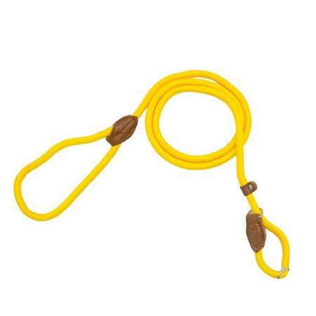 brsp 10721 ALLY PAWS COLLAR & LEASH (M) 10MMX150CM