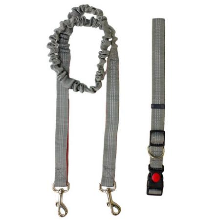 brsp 10726 ALLY PAWS KOŞU YÜRÜYÜŞ KAYIŞI (XL) 25MMX125-175CM
