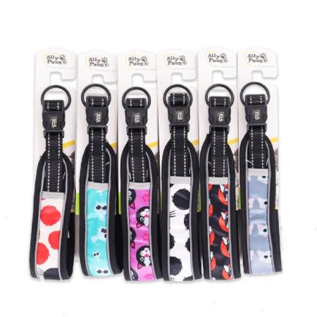 BRSP-10746 ALLY PAWS DOG COLLAR MEDIUM 2CMX35-50CM BOYUN TASMASI