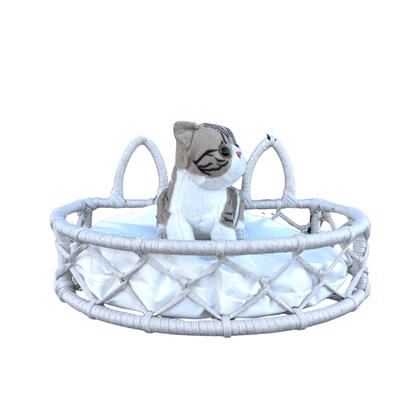 Cam Güzeli Vantuzlu Cam Yatağı