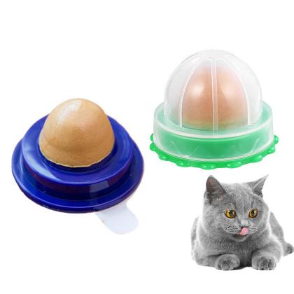 avc-5 dmr-1090 1012 catnip kedi nane yalama şekeri ict