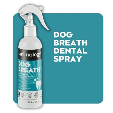Dog Breath Dental Spray Köpek Nefes ve Diş Bakım Spreyi 250ml