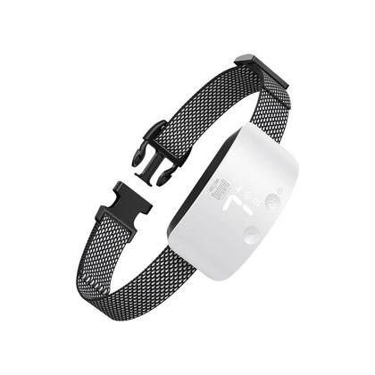 Havlama Önleyici Köpek Eğitim Tasması Beyaz