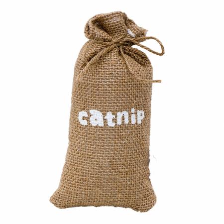 Eastland Kraft Catnip Kedi Çuvalı 16x8 Cm ptgrdn-552021