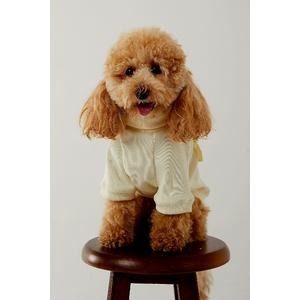 Empati  Fiyonklu Body Ekru xl 6571