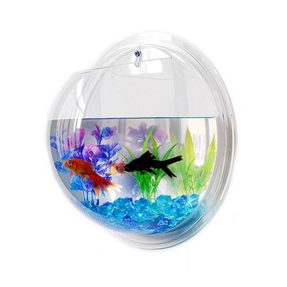 Dekoratif Duvar Askılı Fanus